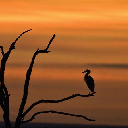 Madikwe River Lodge By Dream Resorts Madikwe Game Reserve Luaran gambar