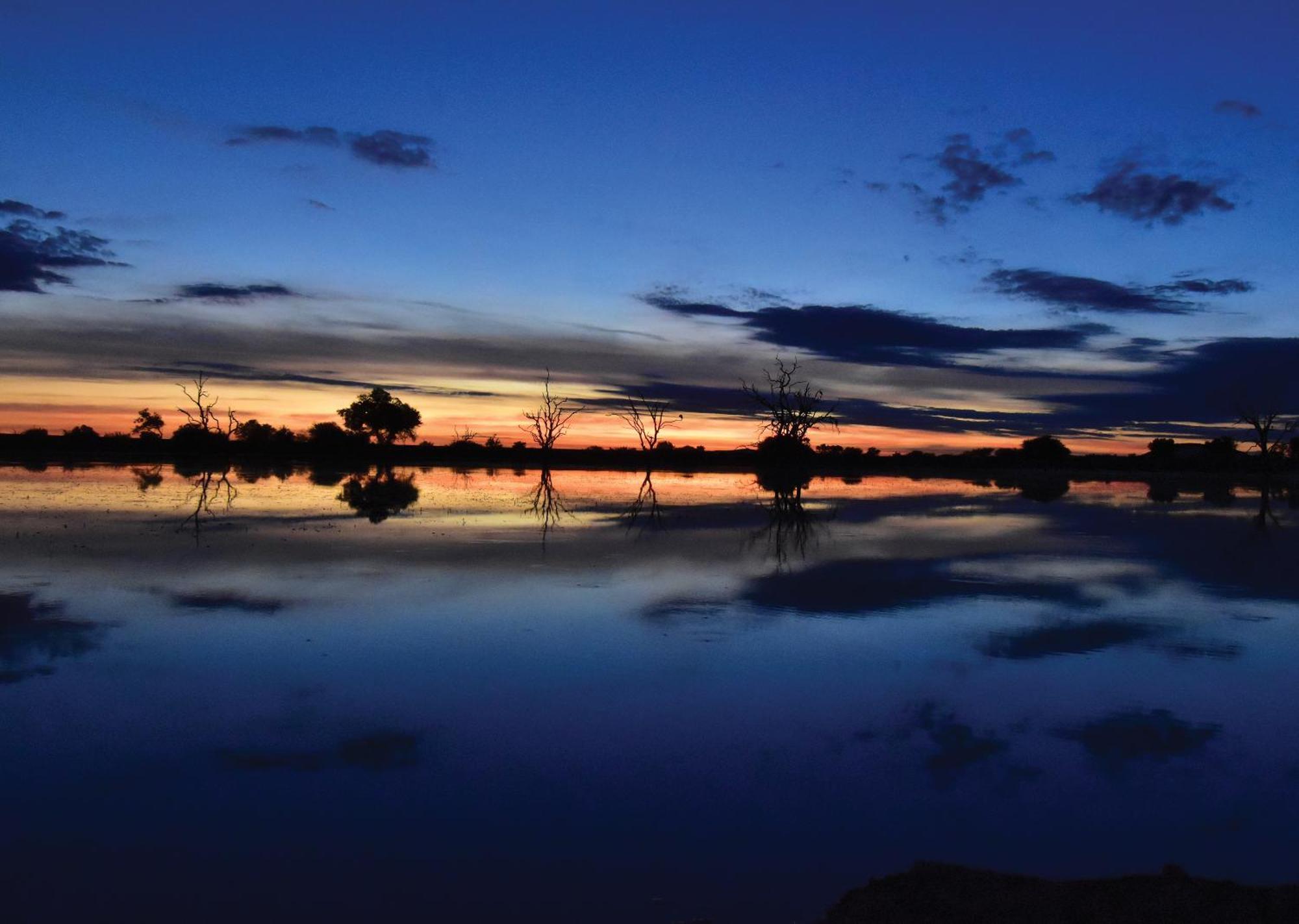 Madikwe River Lodge By Dream Resorts Madikwe Game Reserve Luaran gambar