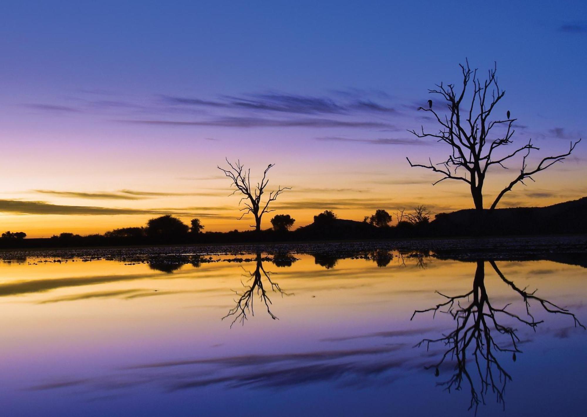 Madikwe River Lodge By Dream Resorts Madikwe Game Reserve Luaran gambar