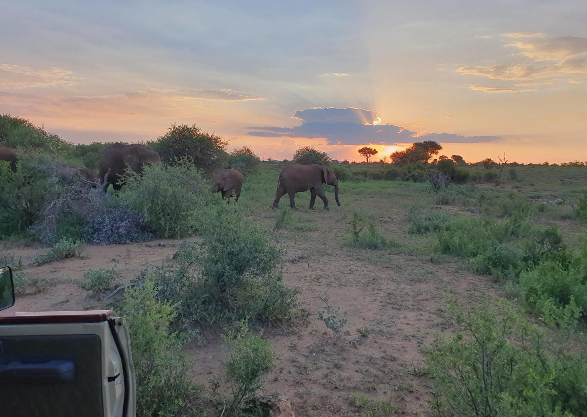 Madikwe River Lodge By Dream Resorts Madikwe Game Reserve Luaran gambar