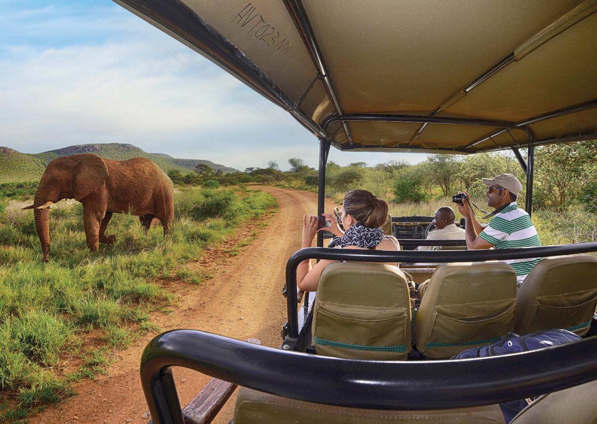 Madikwe River Lodge By Dream Resorts Madikwe Game Reserve Luaran gambar