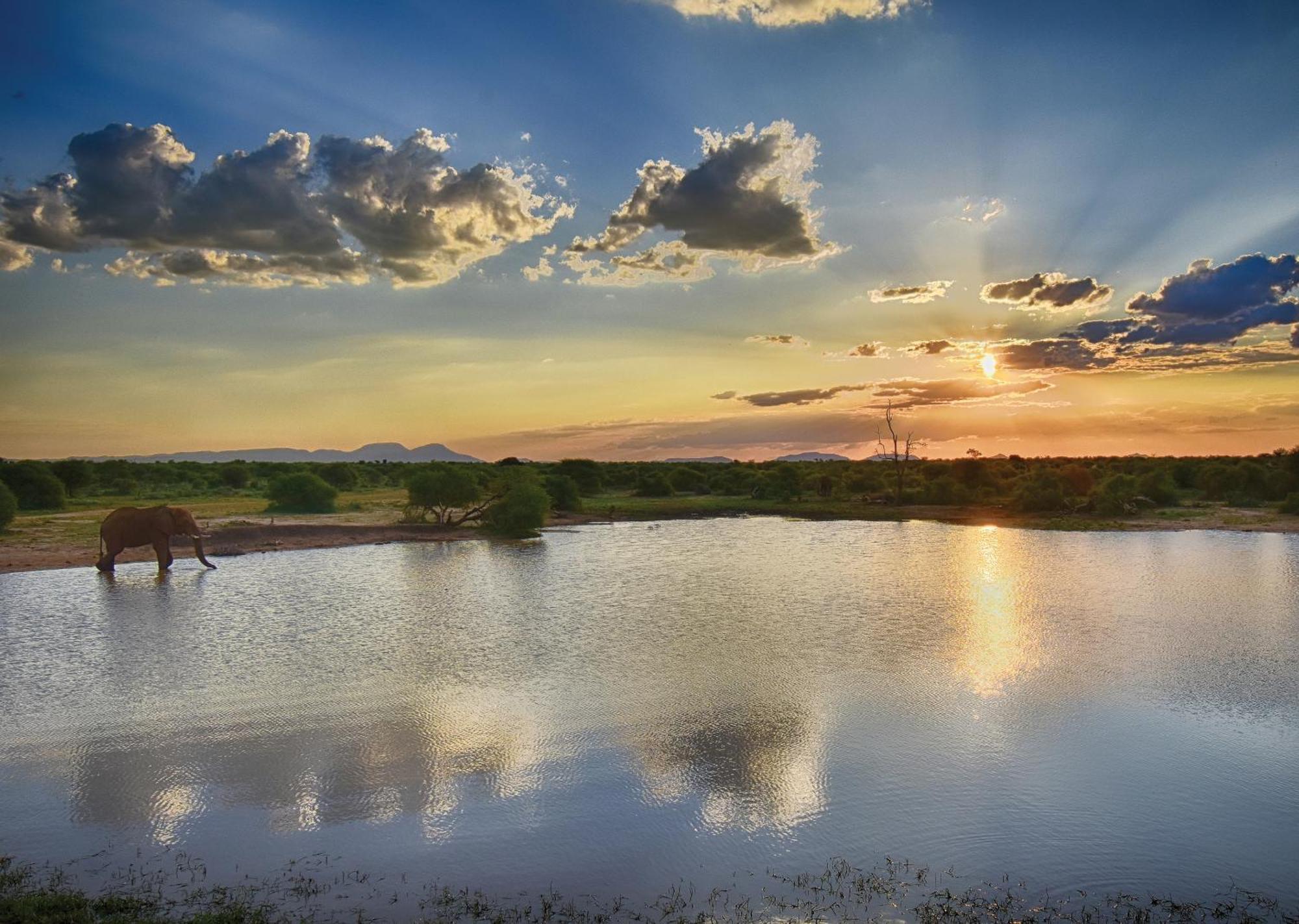 Madikwe River Lodge By Dream Resorts Madikwe Game Reserve Luaran gambar