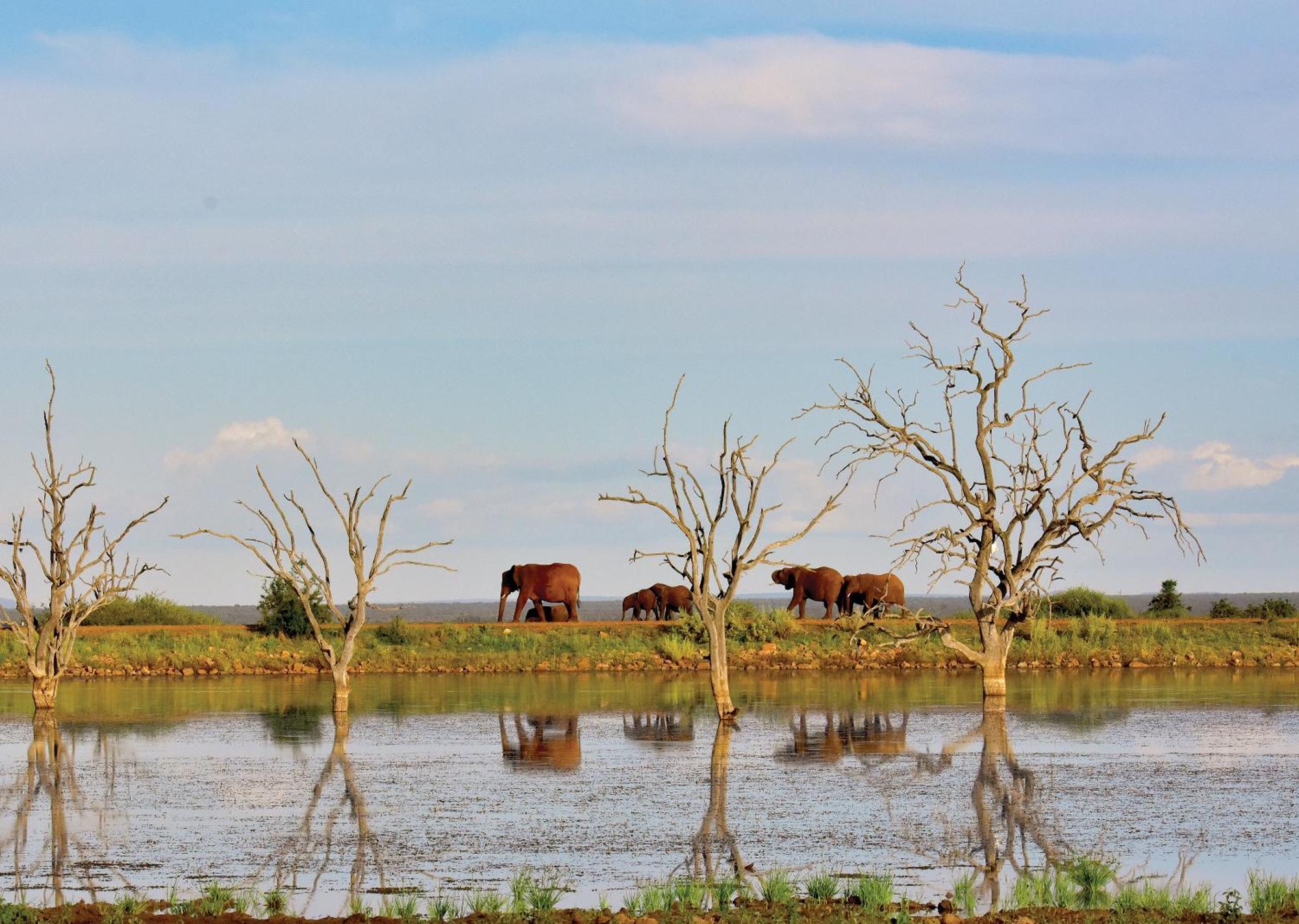 Madikwe River Lodge By Dream Resorts Madikwe Game Reserve Luaran gambar
