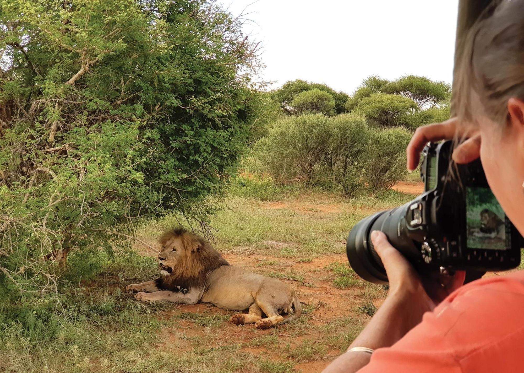 Madikwe River Lodge By Dream Resorts Madikwe Game Reserve Luaran gambar