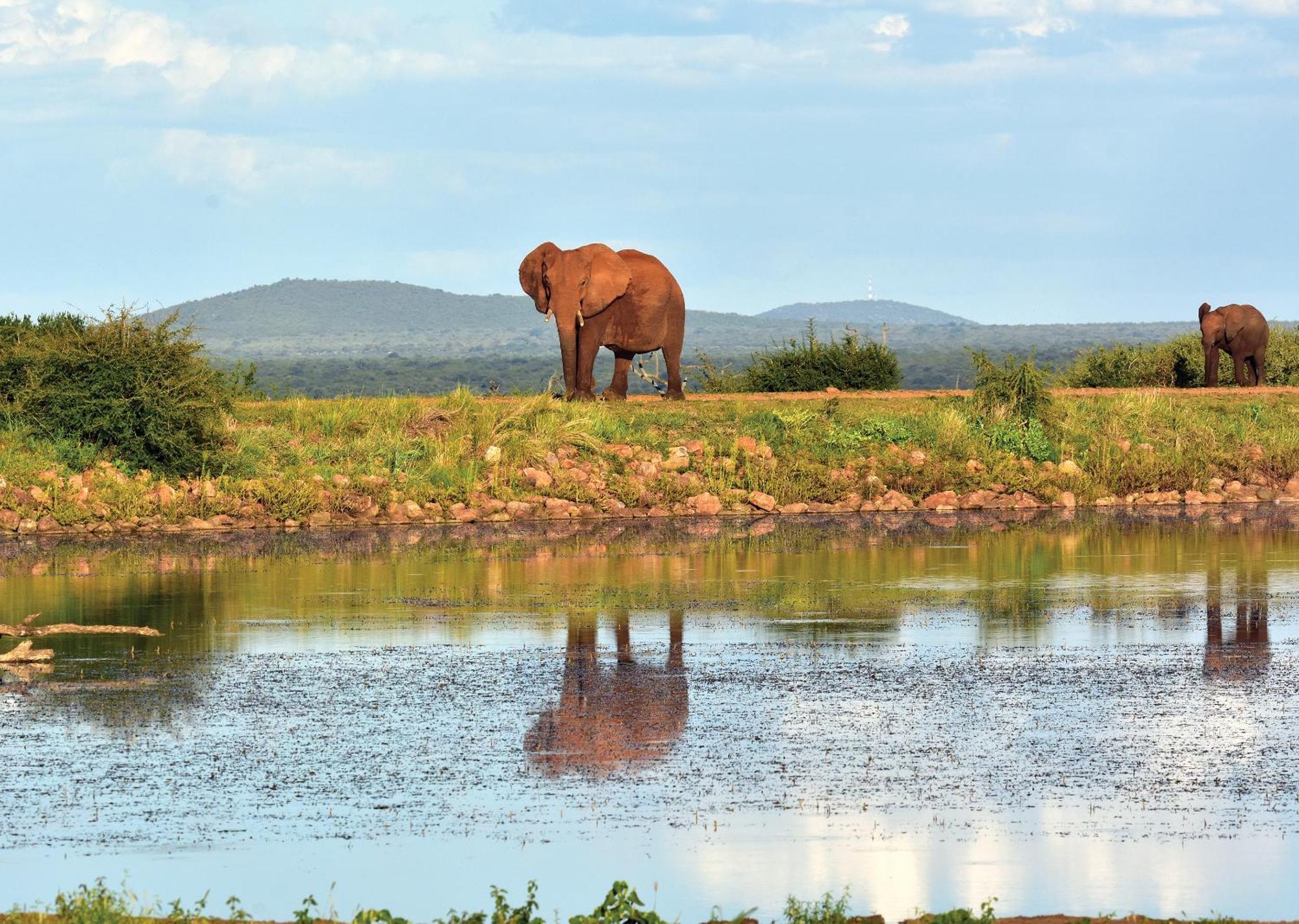 Madikwe River Lodge By Dream Resorts Madikwe Game Reserve Luaran gambar