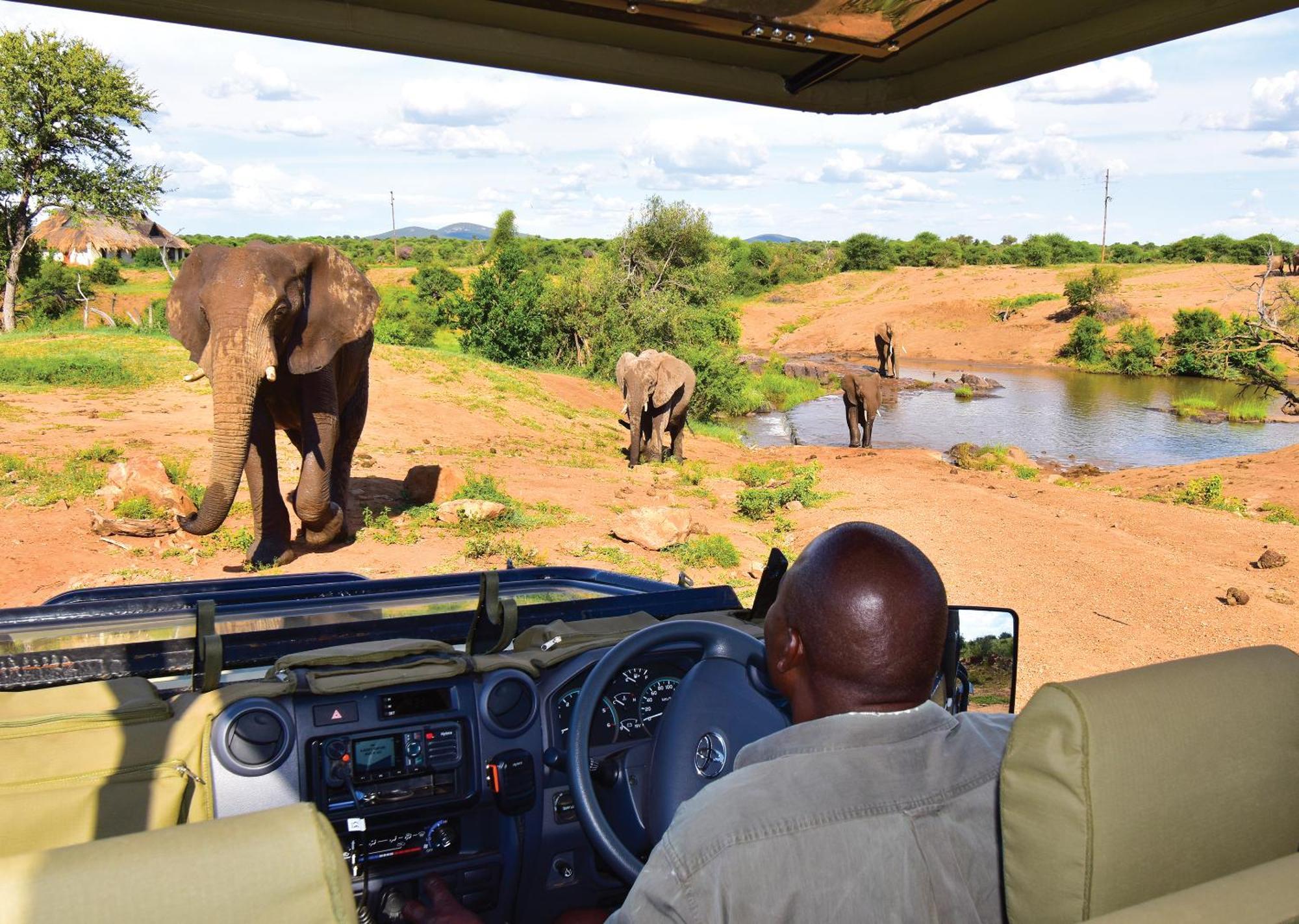 Madikwe River Lodge By Dream Resorts Madikwe Game Reserve Luaran gambar