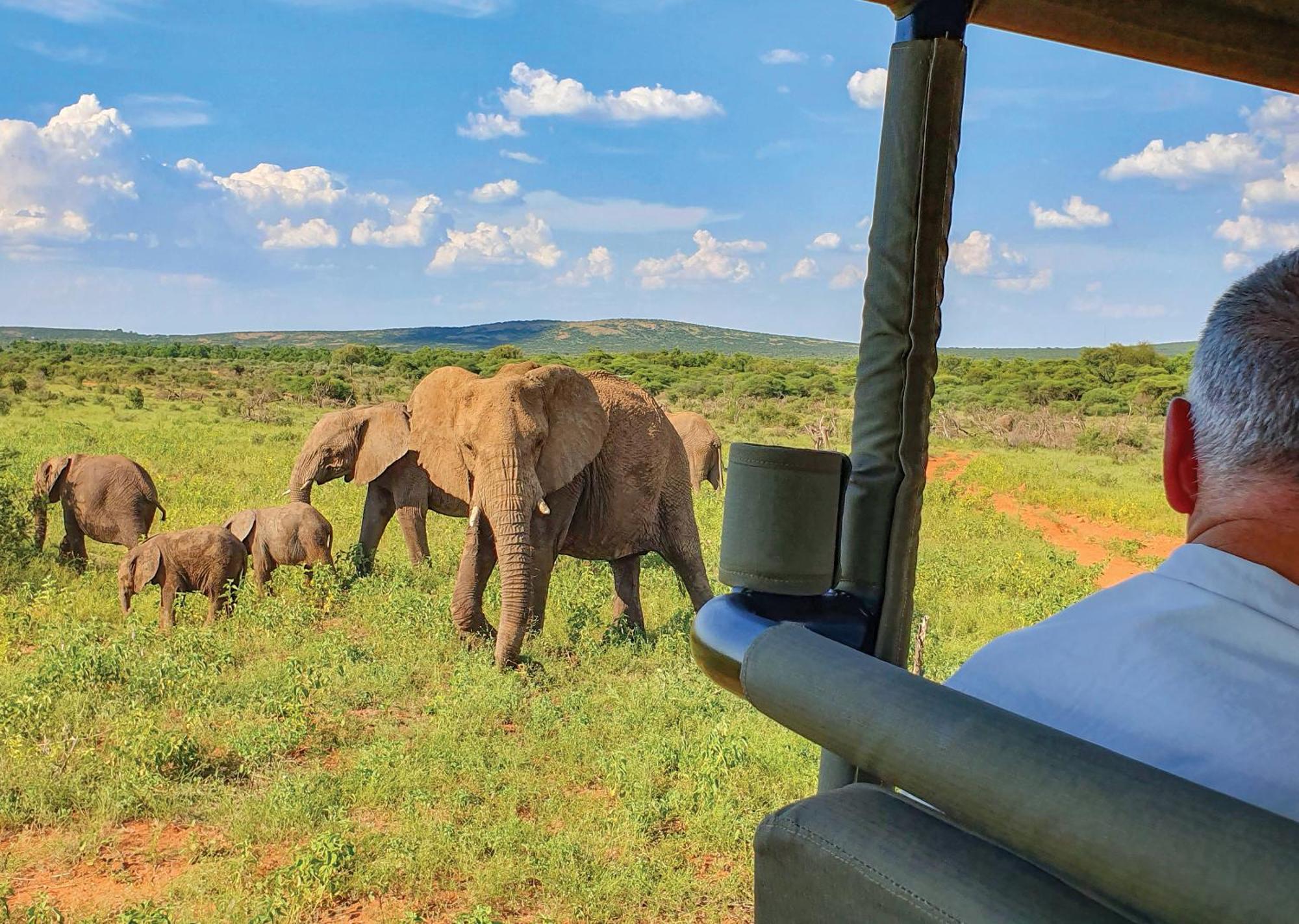 Madikwe River Lodge By Dream Resorts Madikwe Game Reserve Luaran gambar