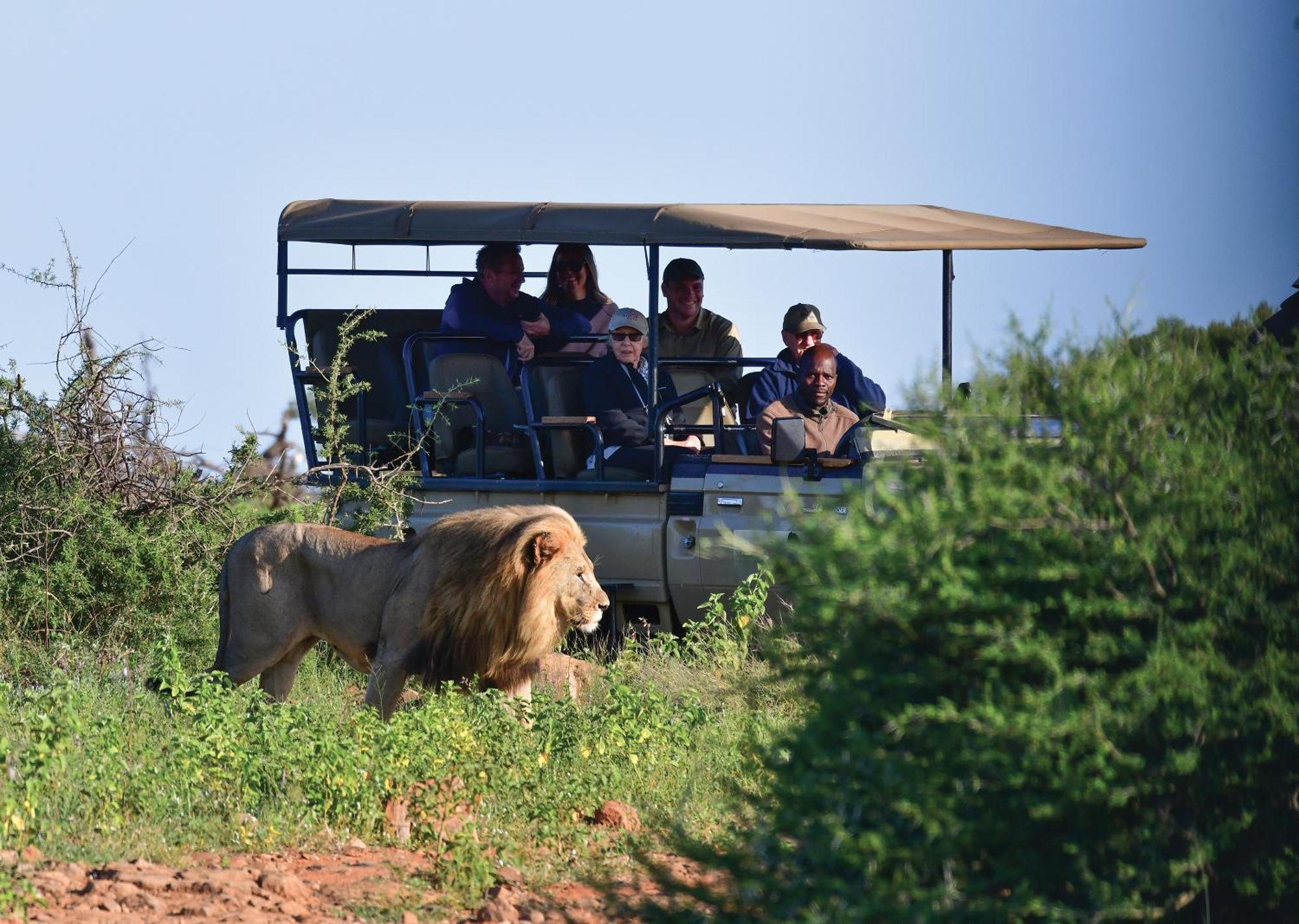Madikwe River Lodge By Dream Resorts Madikwe Game Reserve Luaran gambar