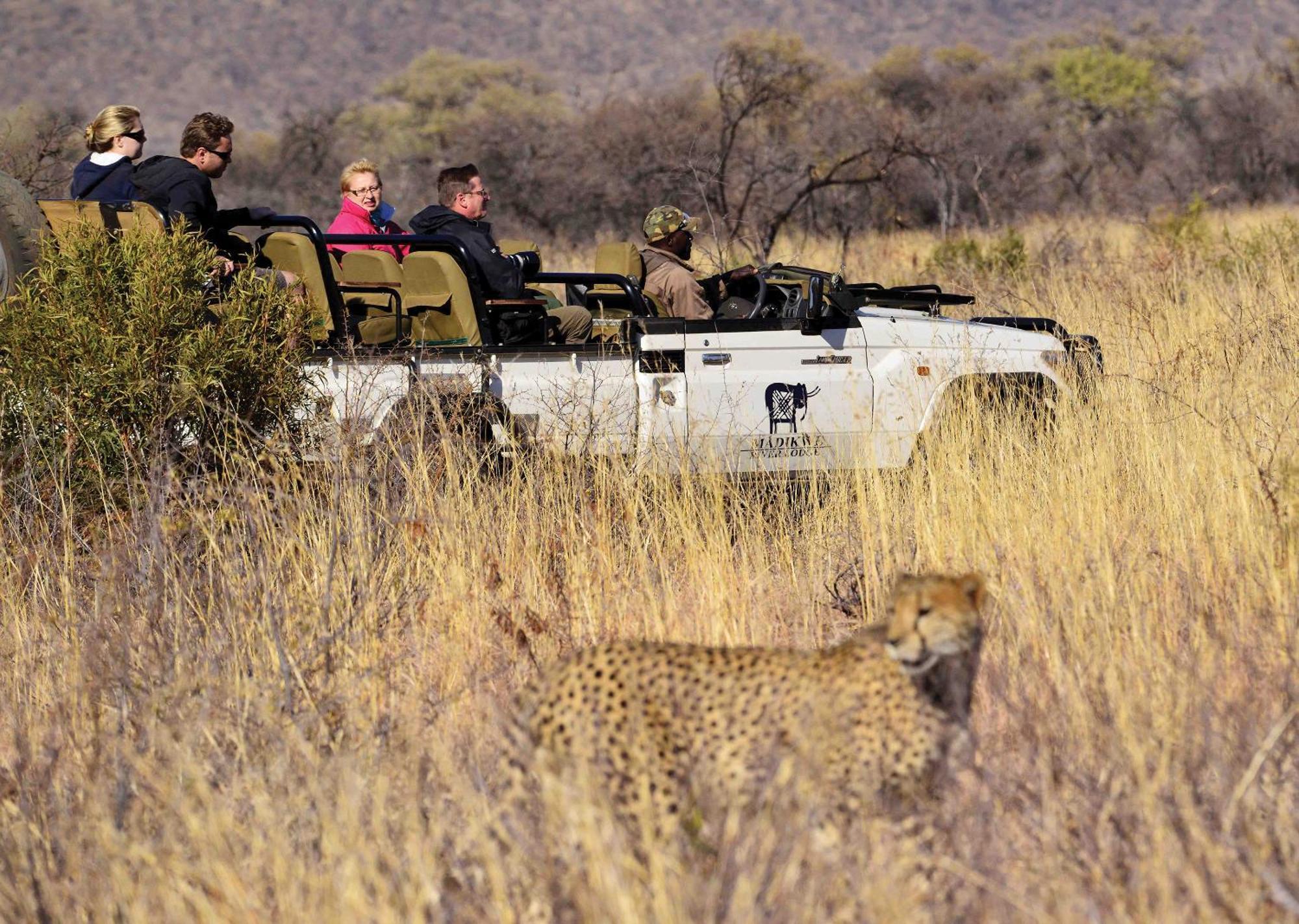 Madikwe River Lodge By Dream Resorts Madikwe Game Reserve Luaran gambar