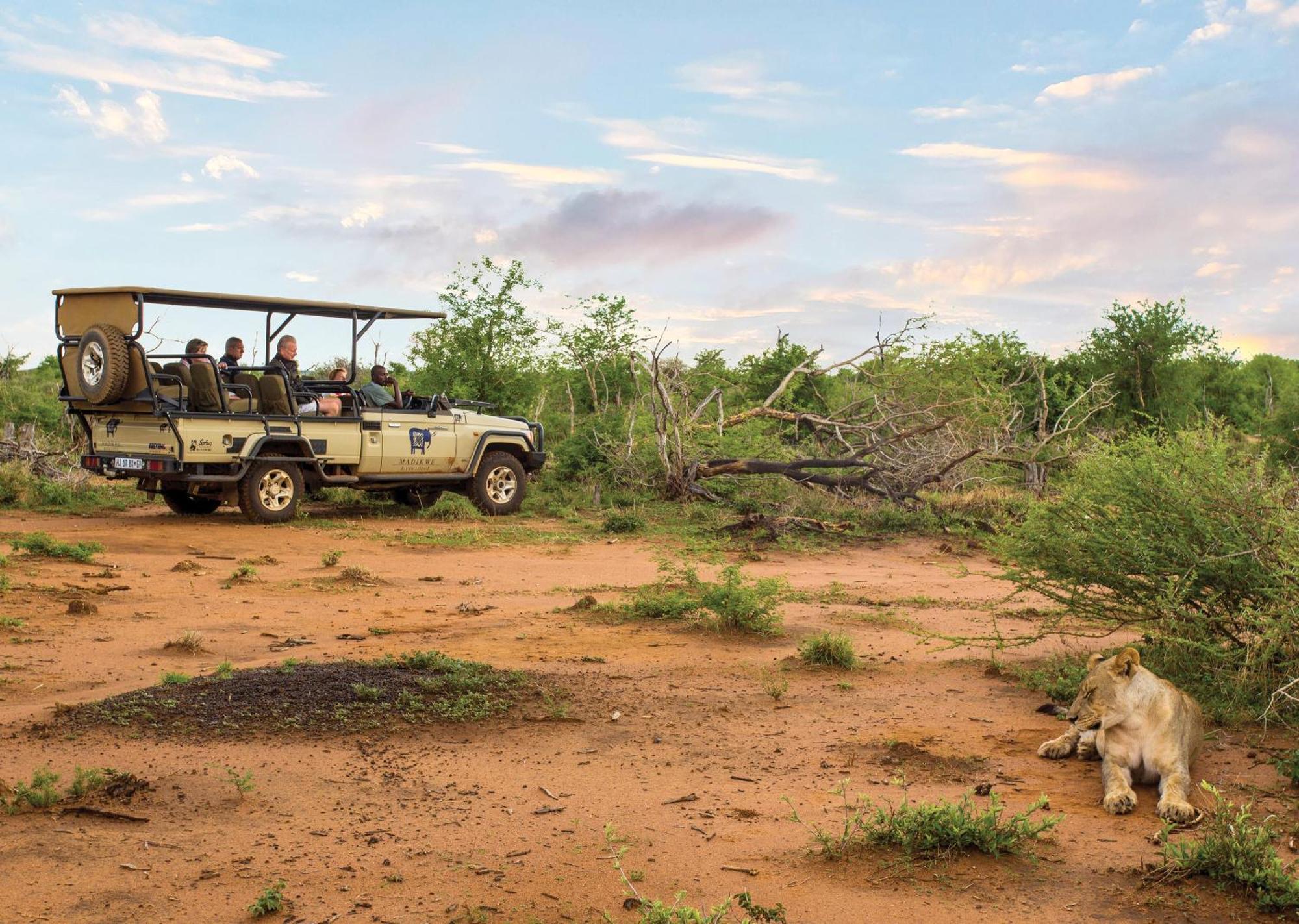 Madikwe River Lodge By Dream Resorts Madikwe Game Reserve Luaran gambar