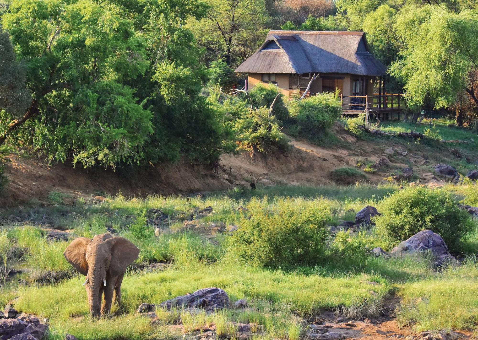 Madikwe River Lodge By Dream Resorts Madikwe Game Reserve Bilik gambar