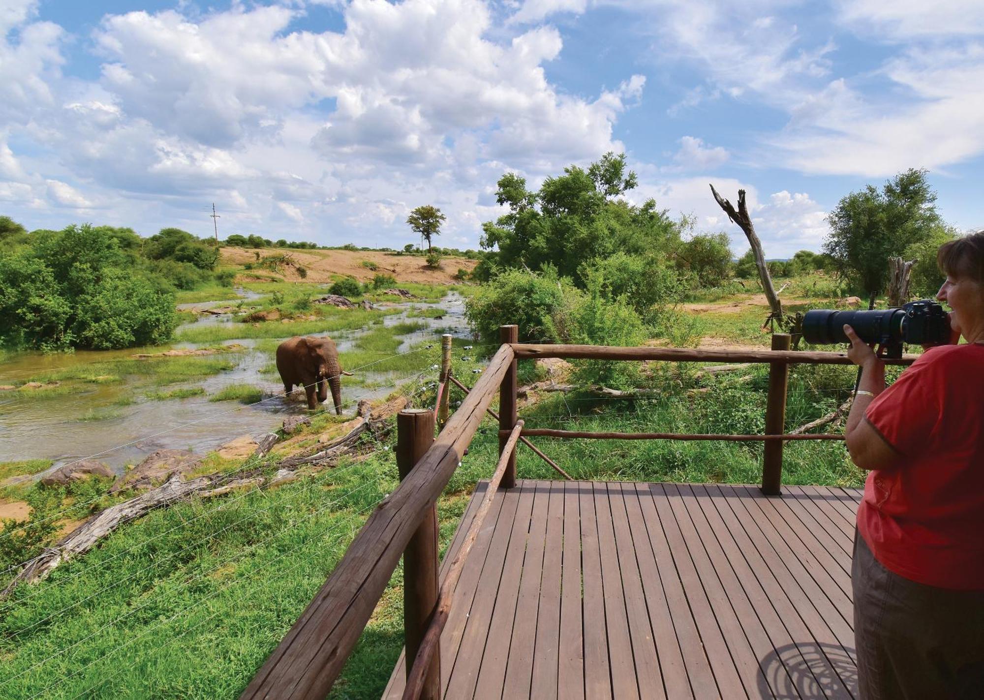 Madikwe River Lodge By Dream Resorts Madikwe Game Reserve Bilik gambar