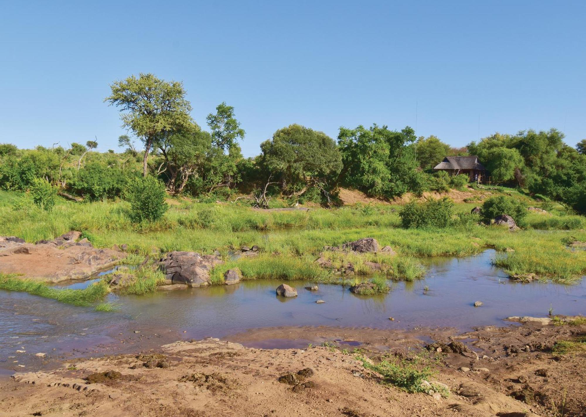 Madikwe River Lodge By Dream Resorts Madikwe Game Reserve Bilik gambar