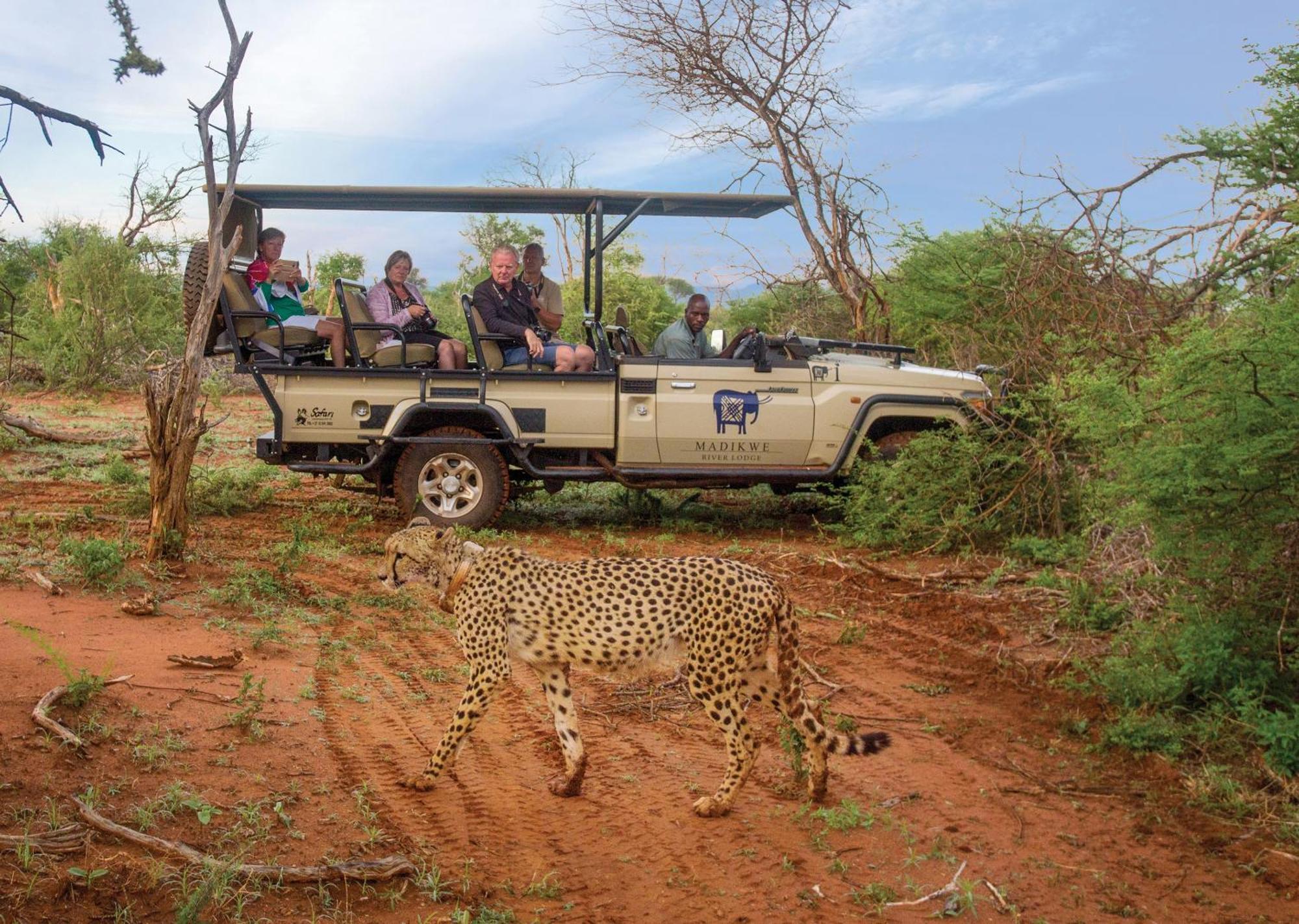 Madikwe River Lodge By Dream Resorts Madikwe Game Reserve Luaran gambar